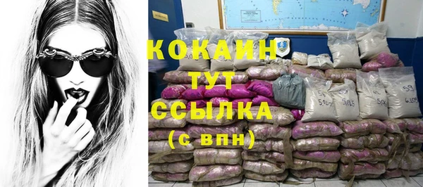 тгк Алзамай