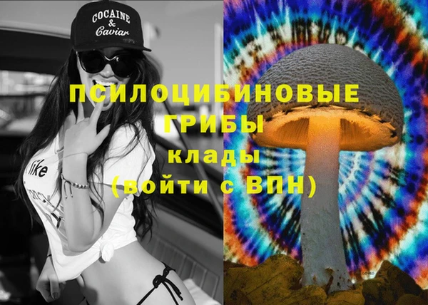бутират Алексеевка